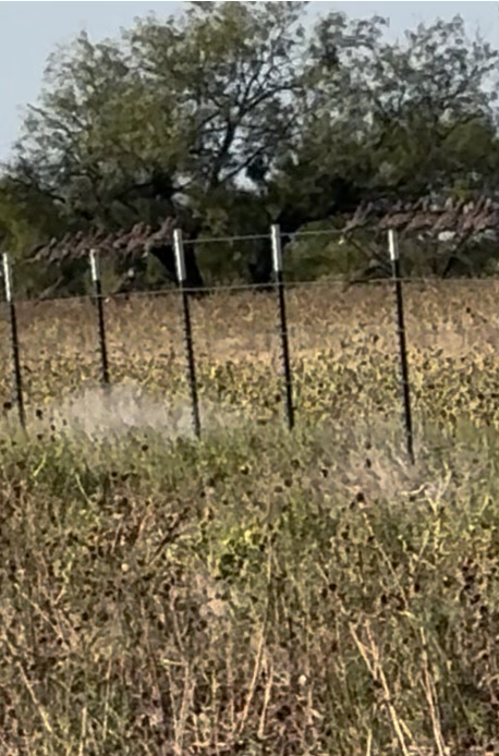 Field at Double D Ranch in Throckmorton County, Texas